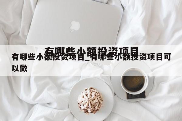 有哪些小额投资项目_有哪些小额投资项目可以做