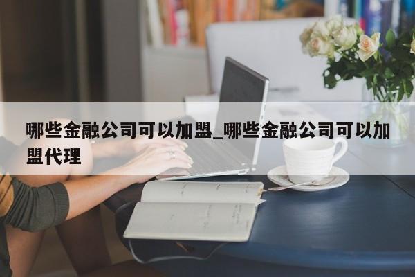 哪些金融公司可以加盟_哪些金融公司可以加盟代理